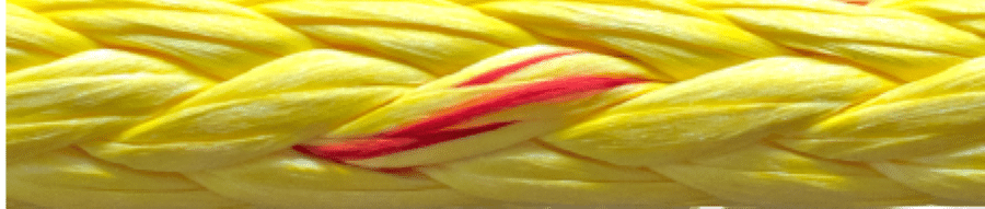 ultrexM-2025-03-06_11-04-25-900-w